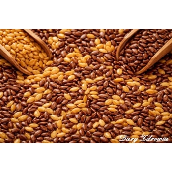 Siemię lniane – dlaczego warto jeść codziennie?